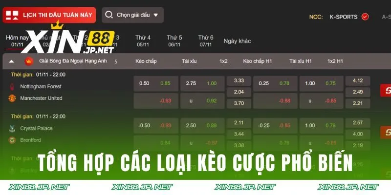 Tổng hợp các loại kèo cược phổ biến hàng đầu